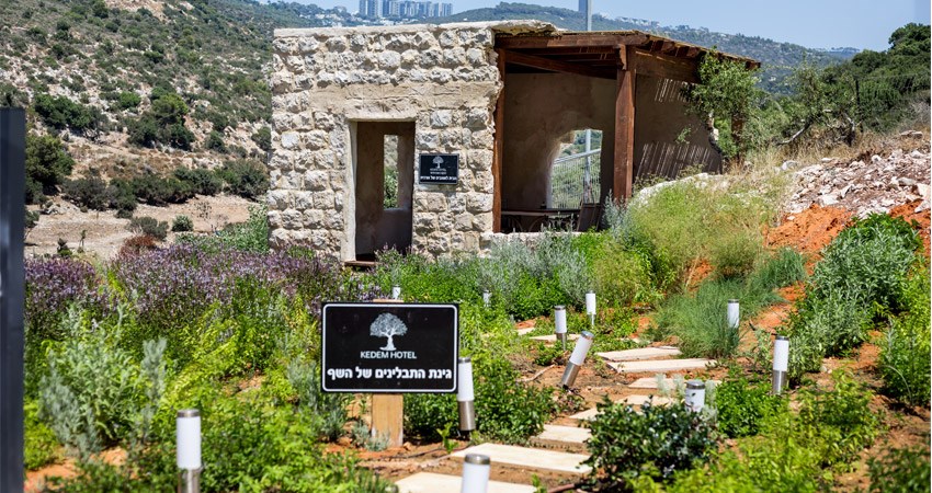 Kedem Hotel Tirat Carmel - Oranit's House
