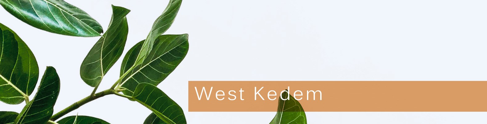 West Kedem West Kedem